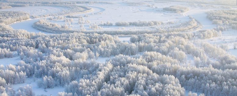 Москва — Белоярский 3 000 рублей