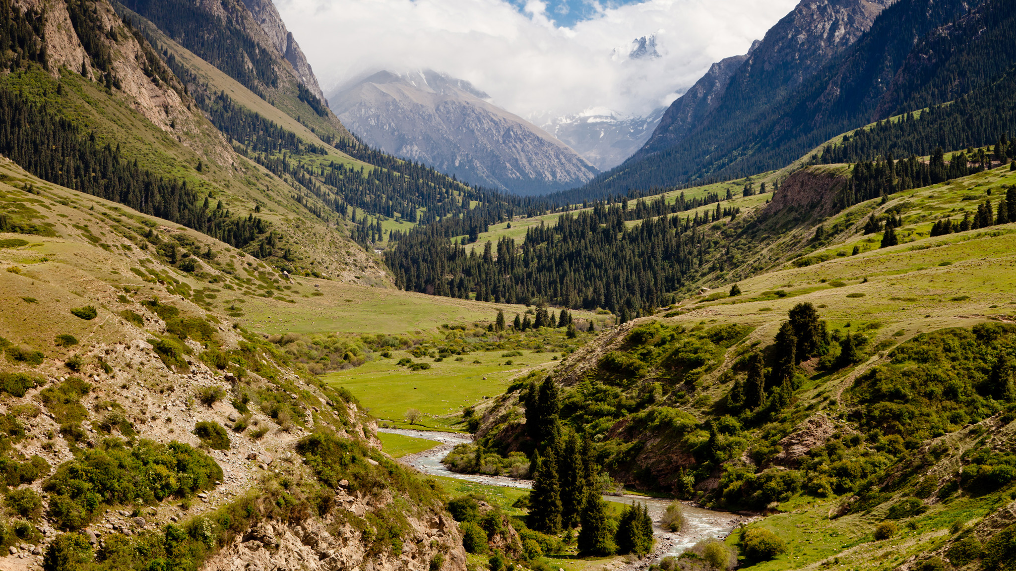 Долина. Ущелье Джууку Киргизия. Аламединское ущелье Киргизия. Ущелье Алтын Арашан. Ущелье Аламедин Киргизия.