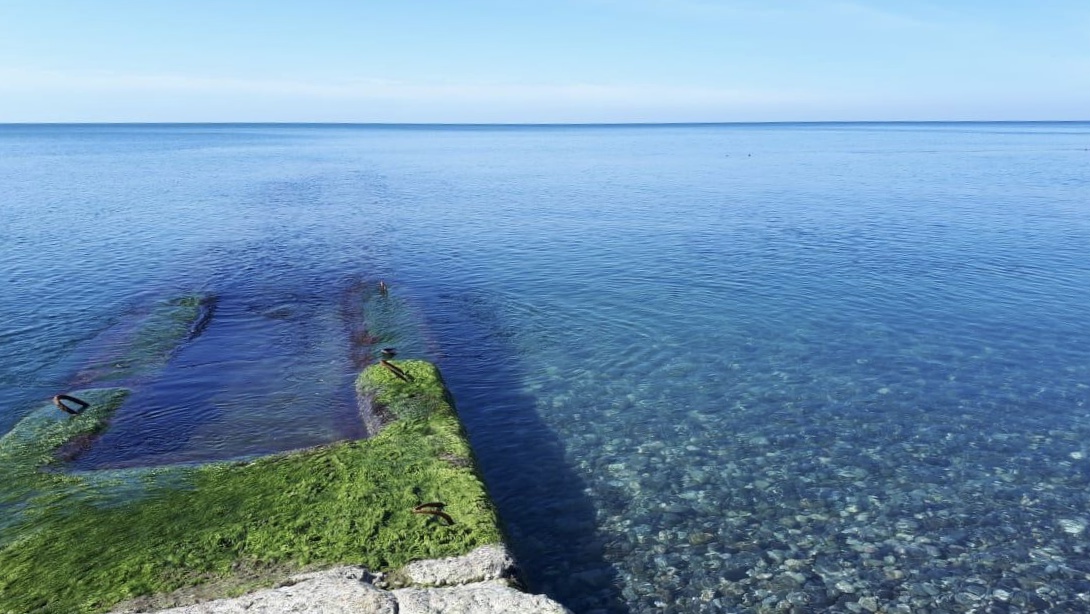 Абхазия смотровая. Черное море бюджетно. Черное море витязево. Черное море бюджетно. Море в сентябре.