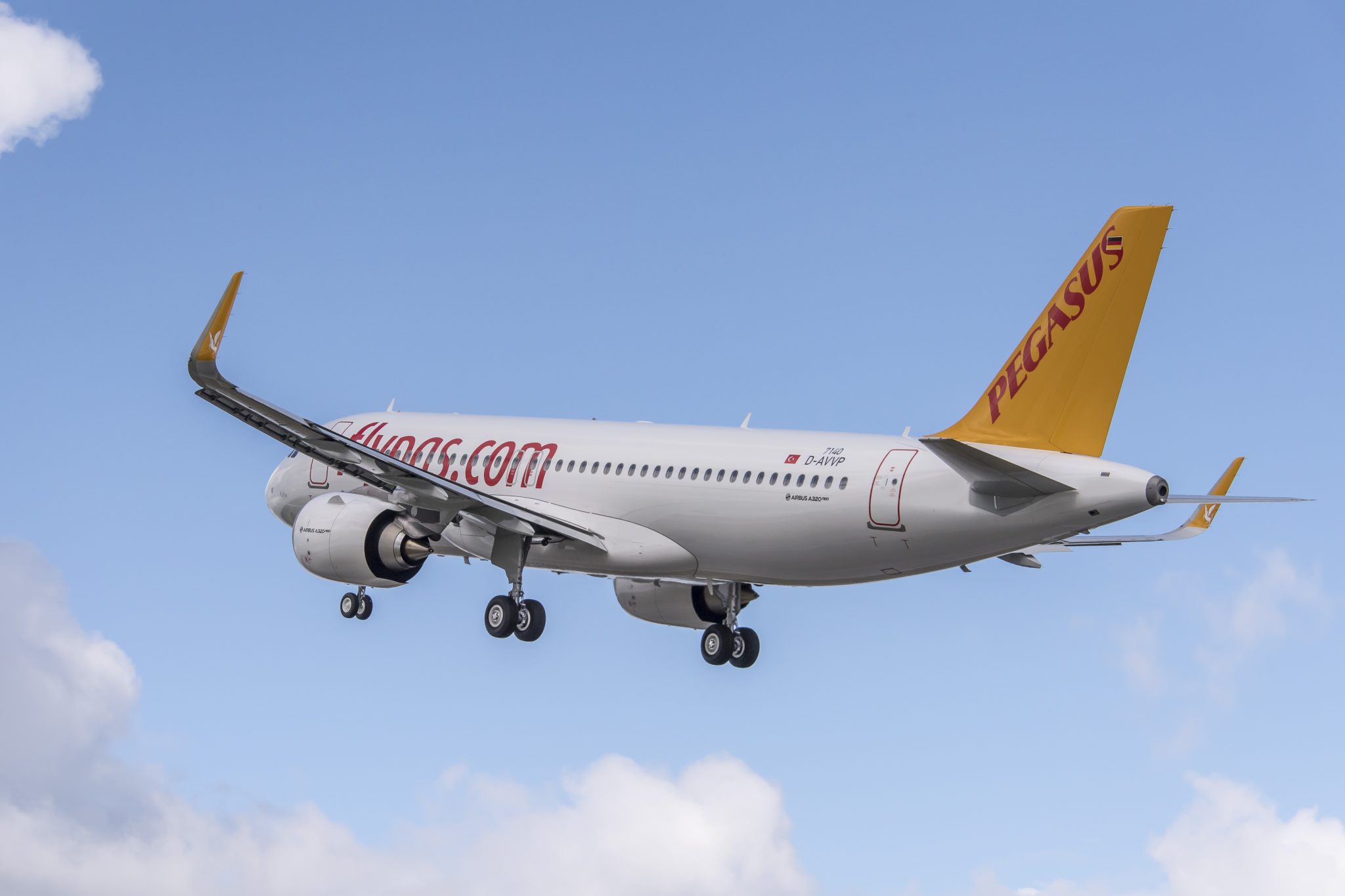 Pegasus airlines фото