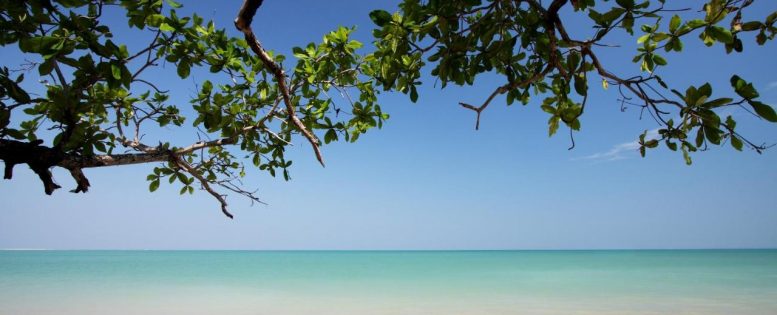 Чартеры из Москвы в Азию