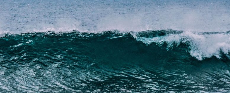 Из Москвы на Шри-Ланку 28 700 рублей