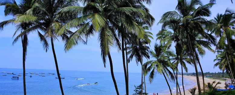 Из Москвы в Гоа 49 900 рублей