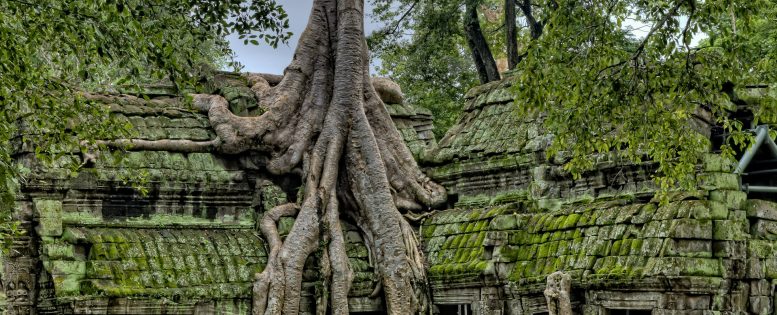 Из Москвы в Камбоджу 32 400 рублей