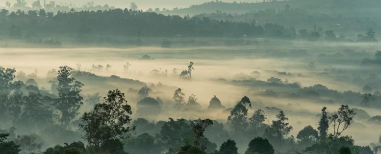 Из Москвы и Петербурга в Камерун
