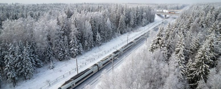 Сапсаны между Москвой и Петербургом 1 800 рублей