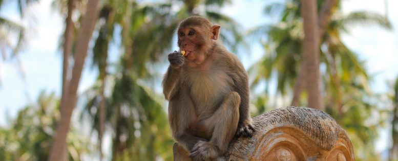 Из Москвы во Вьетнам 38 400 рублей