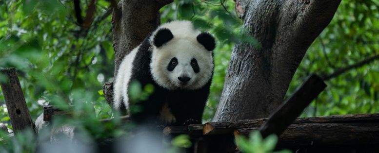 В Китай на майские праздники
