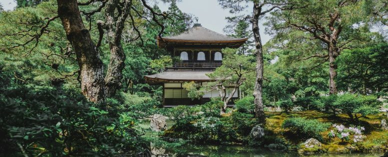 В Японию летом 40 800 рублей