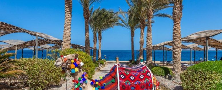 Неделя в Египте 35 600 рублей