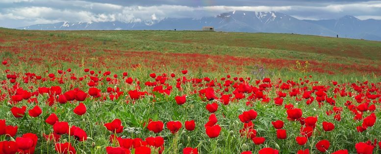 В Узбекистан на майские праздники